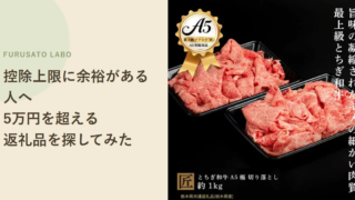 ふるさと納税、控除上限に余裕がある人向け。5万円を超える返礼品を探してみた
