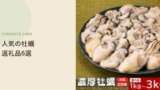 【2026年版】ふるさと納税で人気の牡蠣返礼品6選、レビュー件数で比較