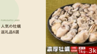 【2026年版】ふるさと納税で人気の牡蠣返礼品6選、レビュー件数で比較