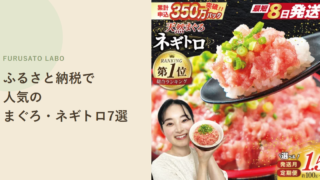 【2026年版】ふるさと納税で人気のまぐろ・ネギトロ返礼品7選、レビュー件数で比較